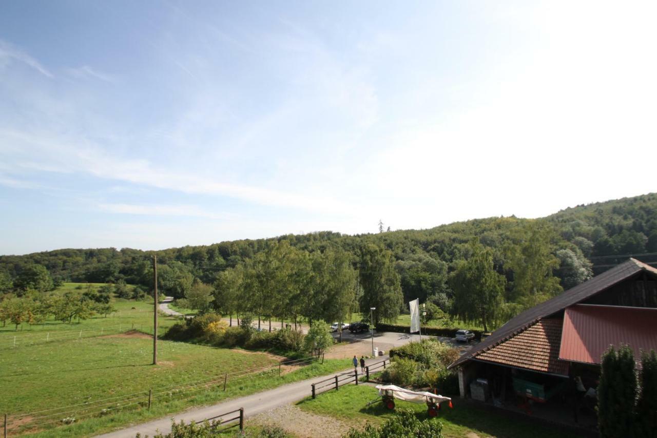 Ferienwohnung Edelbrenner Rimbach  Kültér fotó